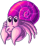 Pink Hermit Crab