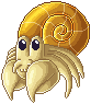 Yellow Hermit Crab