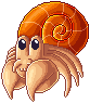 Orange Hermit Crab