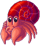 Red Hermit Crab